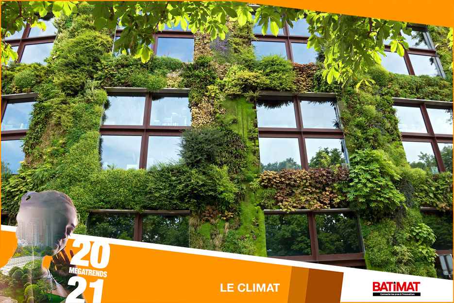 facade-vegetalisee Illustration façade végétale