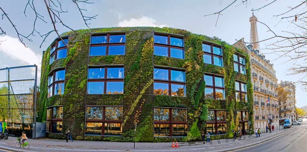 façade-végétalisée-batiment
