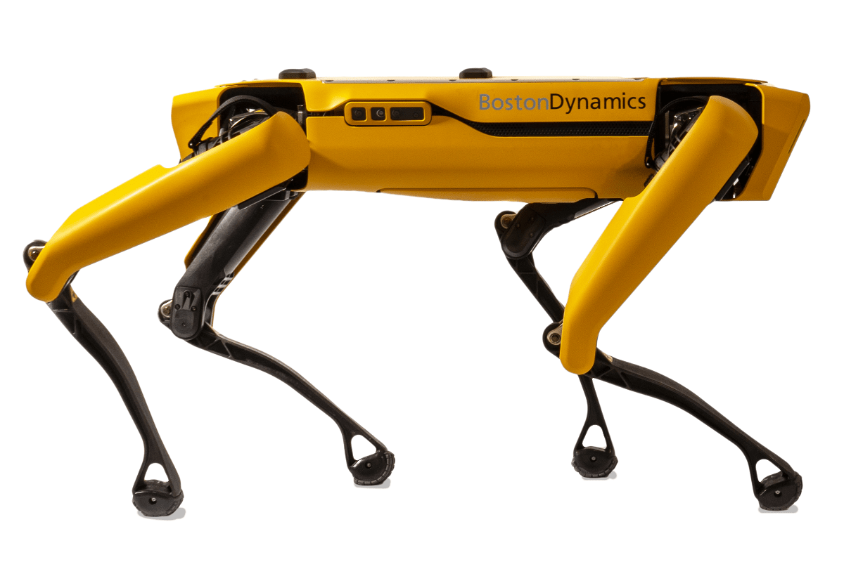 robots-chantiers-chien